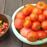 Gorska Polana, Stronie Slaskie - * Młynowiec