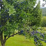 Сasa de vacaciones Gorska Polana, Stronie Slaskie - Młynowiec