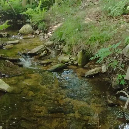 Prázdninový dům Gorska Polana, Stronie Slaskie - Mlynowiec