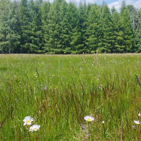 Gorska Polana, Stronie Slaskie - * Mlynowiec