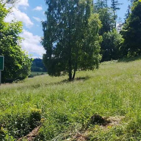 Gorska Polana, Stronie Slaskie - Hébergement de vacances Mlynowiec