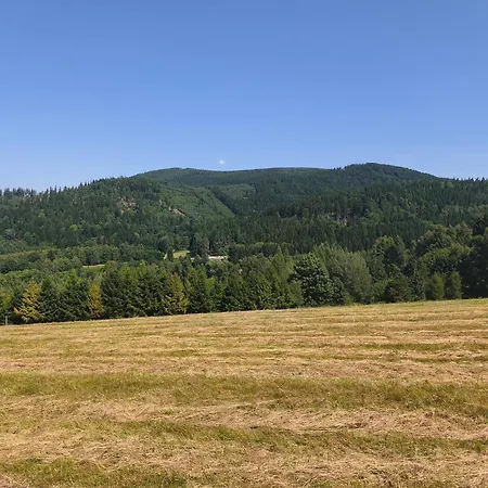 Gorska Polana, Stronie Slaskie - *