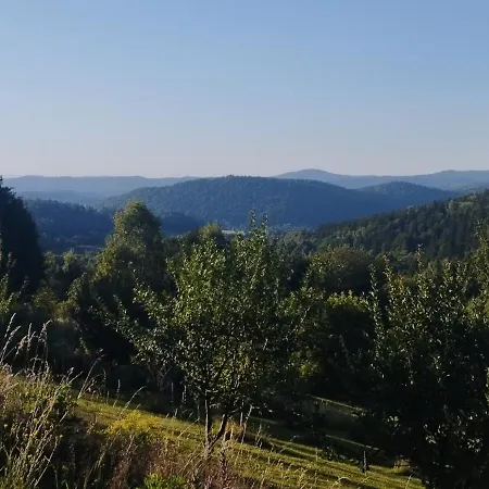 Gorska Polana, Stronie Slaskie -