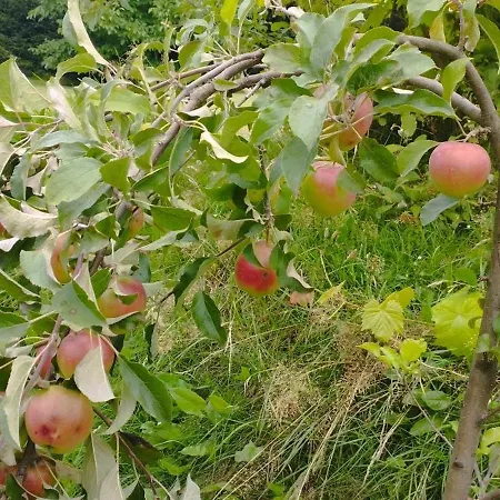 Hébergement de vacances Gorska Polana, Stronie Slaskie -