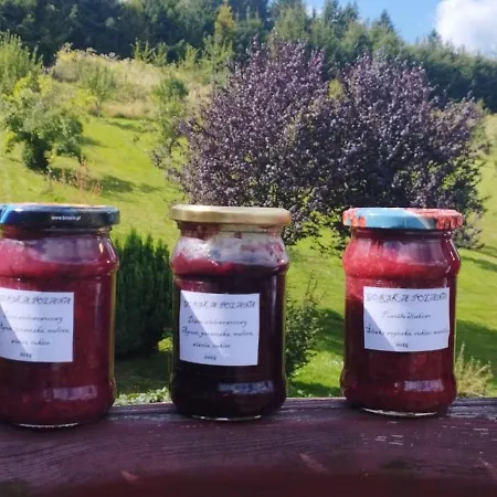 Gorska Polana, Stronie Slaskie - *