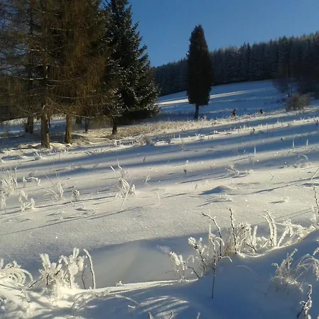 Gorska Polana, Stronie Slaskie - Mlynowiec