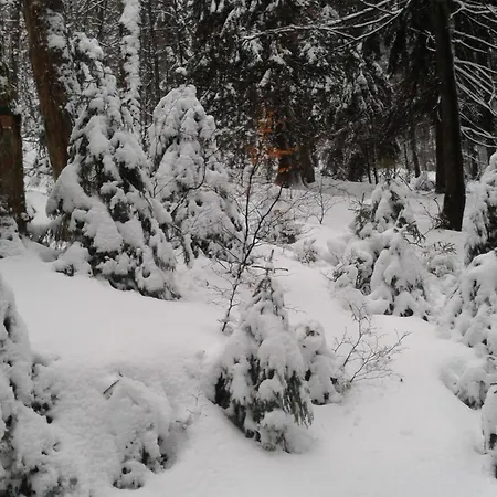 Gorska Polana, Stronie Slaskie - Prázdninový dům Mlynowiec