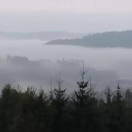 Hébergement de vacances Gorska Polana, Stronie Slaskie -