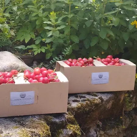 Hébergement de vacances Gorska Polana, Stronie Slaskie - *